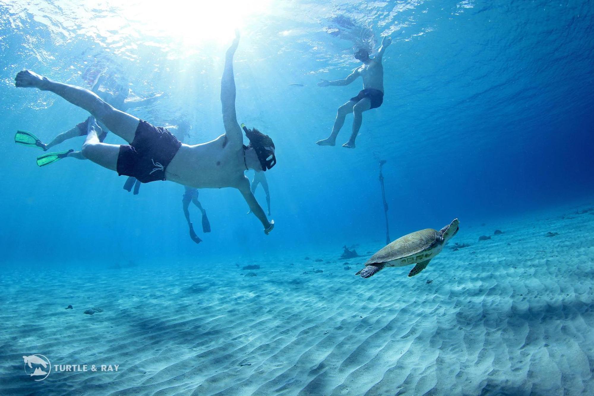 Lagun Blou Resort Curacao מראה חיצוני תמונה