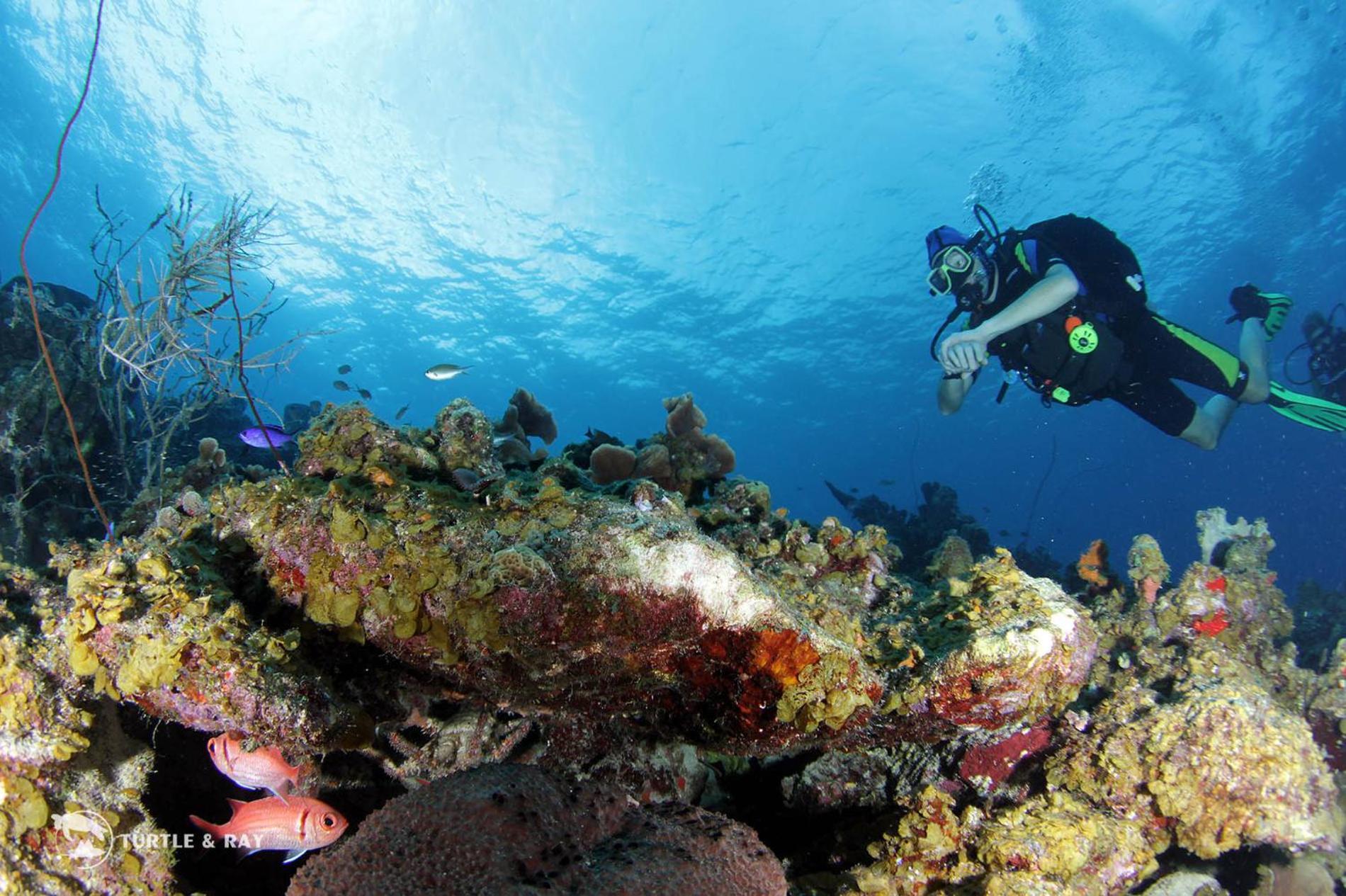 Lagun Blou Resort Curacao מראה חיצוני תמונה