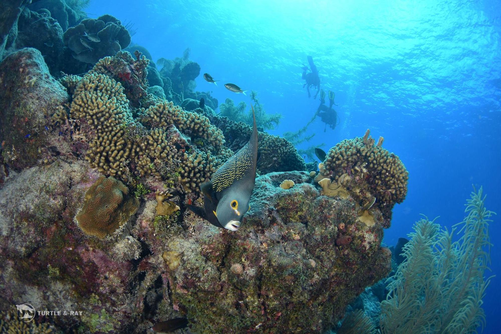 Lagun Blou Resort Curacao מראה חיצוני תמונה
