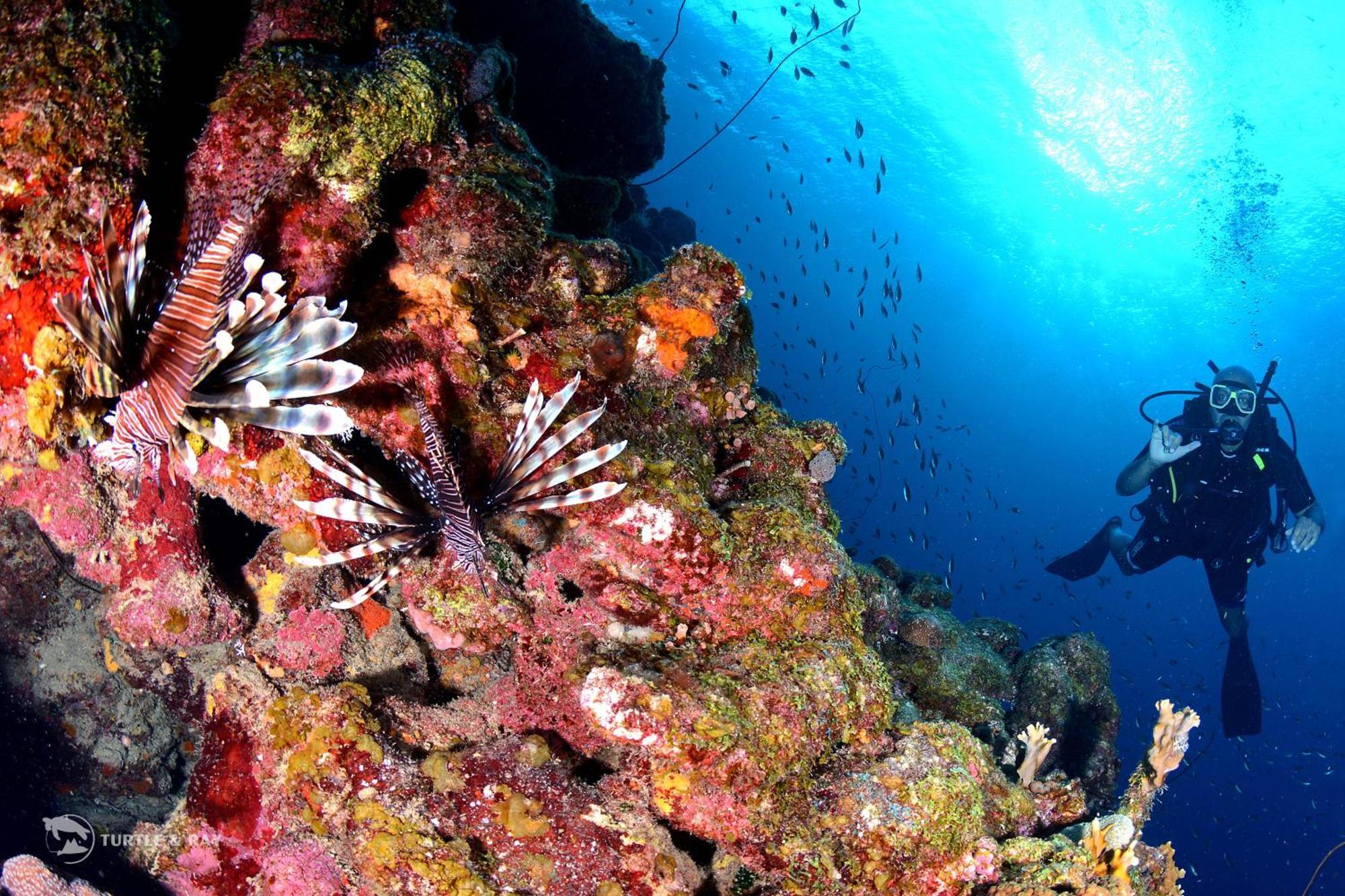 Lagun Blou Resort Curacao מראה חיצוני תמונה